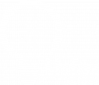 Linfox S.A. de C.V. - Logo