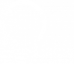 Linfox S.A. de C.V. - Logo